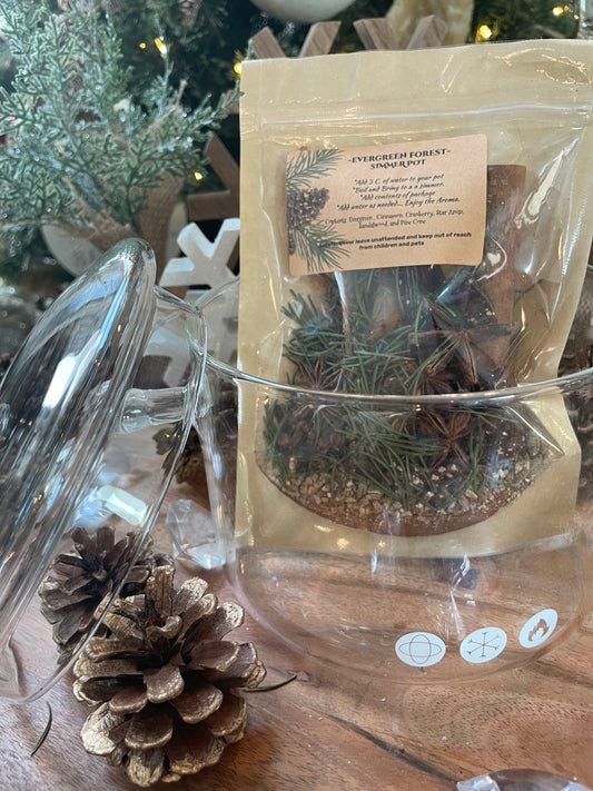 Christmas Simmer Pot Packets