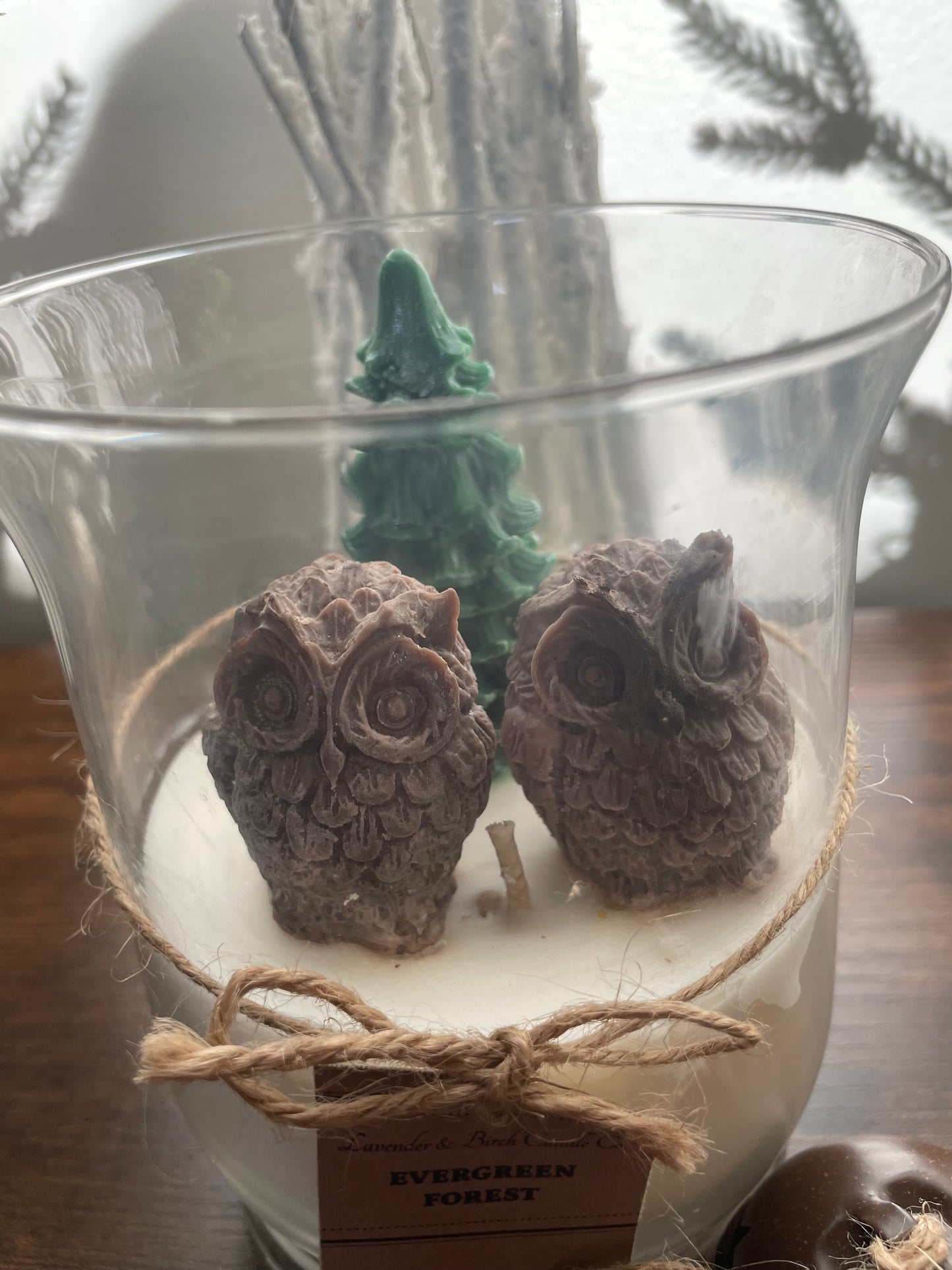 Woodland Owls and Pine Soy Candle
