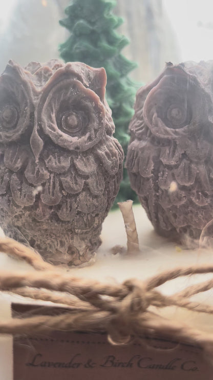 Woodland Owls and Pine Soy Candle